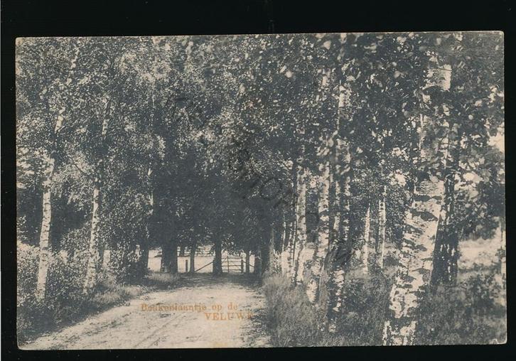Veluwe - Beukenlaantje [KRST009-2248, Verzamelen, Ansichtkaarten | Nederland, Gelopen, Gelderland, 1940 tot 1960, Verzenden