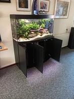Aquarium, 1 meter bij 40cm bij 30 cm.  Inhoud 260 lt, Dieren en Toebehoren, Ophalen, Zo goed als nieuw, Gevuld zoetwateraquarium