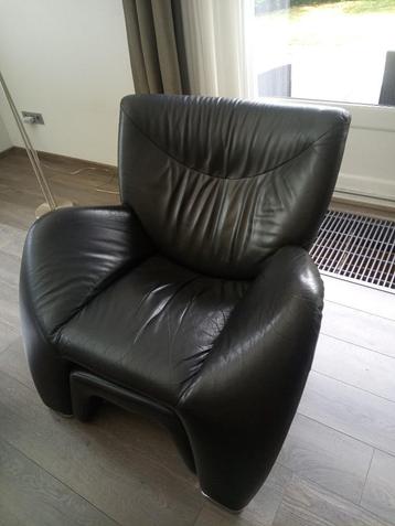 Leolux Echnaton fauteuil  beschikbaar voor biedingen
