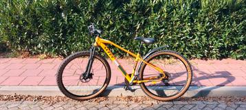 ⚡ALTEC Arcus 29” MTB – 27 versn. | Schijfrem | Nieuwe banden beschikbaar voor biedingen