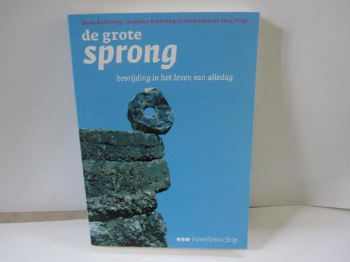 Korteweg 		De grote sprong, Boeken, Esoterie en Spiritualiteit, Zo goed als nieuw, Achtergrond en Informatie, Spiritualiteit algemeen