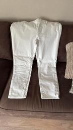 Bonita broek wit maat 48, Wit, Maat 46/48 (XL) of groter, Ophalen of Verzenden, Driekwart
