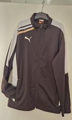 176 Zgan Puma (trainings)jasje, Kinderen en Baby's, Kinderkleding | Maat 176, Ophalen of Verzenden, Zo goed als nieuw, Puma, Sport- of Zwemkleding