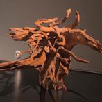 Uniek stuk Kienhout / Driftwood / Spiderwood, Hout Decoratie, Dieren en Toebehoren, Ophalen of Verzenden, Zo goed als nieuw, Leeg aquarium