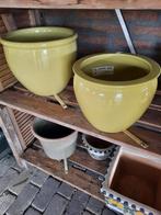 pot, Tuin en Terras, Bloempotten, Ophalen, Rond, Aardewerk, Minder dan 25 cm