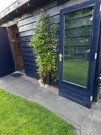 Hardhouten deur, Doe-het-zelf en Verbouw, Deuren en Horren, Ophalen, 80 tot 100 cm, 200 tot 215 cm, Glas