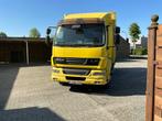 DAF - 2009 - Vrachtwagen, Auto's, Vrachtwagens, Euro 5, Bedrijf, Diesel, DAF