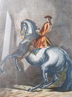 Prachtige grote antieke ingelijste gravure door Ridinger., Ophalen