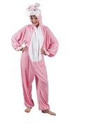 Paashaas kostuum te koop, Ophalen of Verzenden, Zo goed als nieuw, Carnaval