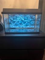 Aquarium+toebehoren, Dieren en Toebehoren, Vissen | Aquaria en Toebehoren, Ophalen, Leeg aquarium