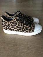 SNEAKER FIAMME LEER LUIPAARD maat 38, Bruin, Ophalen of Verzenden, FIAMME, Sneakers of Gympen