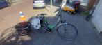 Giant Damesfiets mèt aanhanger, Ophalen of Verzenden, Zo goed als nieuw, Giant, (Extra) lage instap