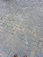 Straatstenen 200x100x70mm - 30m2 - Julianadorp, Tuin en Terras, Ophalen, Gebruikt, Klinkers, 10 m² of meer