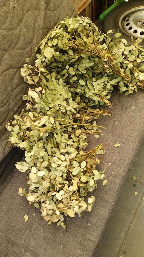 Gedroogde eucalyptus 8 bossen, witte varen doos en palmblad, Huis en Inrichting, Woonaccessoires | Droogbloemen, Nieuw, Ophalen of Verzenden