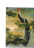 3d kaart  pauw in naaldboom  gelopen op vogelenzang 1970, Verzenden, 1960 tot 1980, Gelopen, Vogel