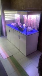 Eheim incpiria 160cm, Dieren en Toebehoren, Vissen | Aquaria en Toebehoren, Ophalen of Verzenden, Zo goed als nieuw, Gevuld zoetwateraquarium