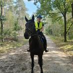 Per direct beschikbaar Amazone, Diensten en Vakmensen, Dieren | Paarden | Verzorging, Oppas en Les, Ruiter of Bijrijder