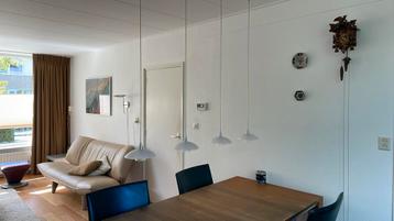 Mooie hanglamp. beschikbaar voor biedingen