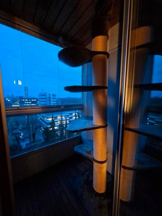 Zeer degelijke grote Krabpaal (main coon donkergrijs - RHR), Dieren en Toebehoren, Krabmeubelen, Gebruikt, Krabpaal, Ophalen