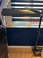 Uitklapbare zonnebank, Witgoed en Apparatuur, Zonnebanken en Gezichtsbruiners, Ophalen, Gebruikt, Zonnebank enkelzijdig, Minder dan 10 lampen