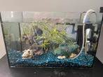 Aquarium met of zonder inhoud (25x25x40), Dieren en Toebehoren, Vissen | Aquaria en Toebehoren, Ophalen, Gebruikt, Grind, Zand of Voedingsbodem