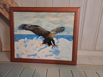 Schilderij: Arend in Vlucht beschikbaar voor biedingen