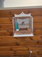 Zang kooi met opvangbak, Ophalen of Verzenden, Zo goed als nieuw, Hout, Vogelkooi