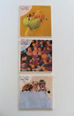 Wenskaarten Decoratie Anne Geddes *Nieuw* (3688), Minder dan 50 cm, Nieuw, Ophalen of Verzenden, Foto of Poster