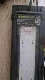 Juwel Helialux Spectrum 800 met Smart Control, Dieren en Toebehoren, Ophalen, Zo goed als nieuw, Verlichting of Verwarming
