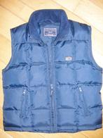 FALINO bodywarmer blauw maat M - nieuw -, Maat 38/40 (M), Blauw, Nieuw, Ophalen of Verzenden