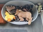 Mooie goede plastic honden mand groot., Ophalen of Verzenden