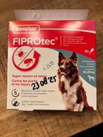 Beaphar FIPROtec houdbaar tot 24.04.2026, Ophalen of Verzenden, Hond