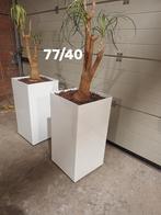 Bloembakken 77/ 40 polyester hoogglans wit, Tuin en Terras, Bloembakken en Plantenbakken, Ophalen, Overige materialen, Vierkant