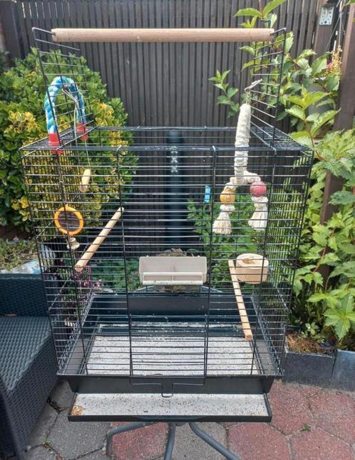Grote vogelkooi, Dieren en Toebehoren, Vogels | Hokken en Kooien, Gebruikt, Vogelkooi, Metaal, Ophalen