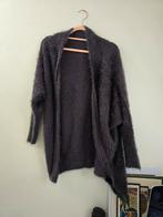 Female top, brand "Rainbow," size 36-38, pu, Ophalen of Verzenden, Zo goed als nieuw, Maat 36 (S), Paars