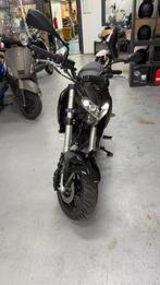 Benelli tnt125 tornado naked 03/2025 fabrieksgarantie!!, Bedrijf, 125 cc, 11 kW of minder, 1 cilinder