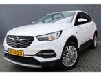 Opel GRANDLAND X BWJ 2019 1.2 Turbo Business 131 PK Executiv, Auto's, Opel, 5 stoelen, Benzine, Overige modellen, Lease