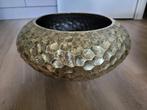 Bloempot, Tuin en Terras, Bloempotten, Ophalen, Kunststof, 40 cm of meer, Binnen