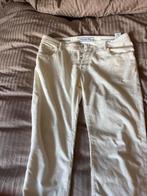 jacob cohen broek, Ophalen, Zo goed als nieuw, Overige kleuren, W36 - W38 (confectie 52/54)