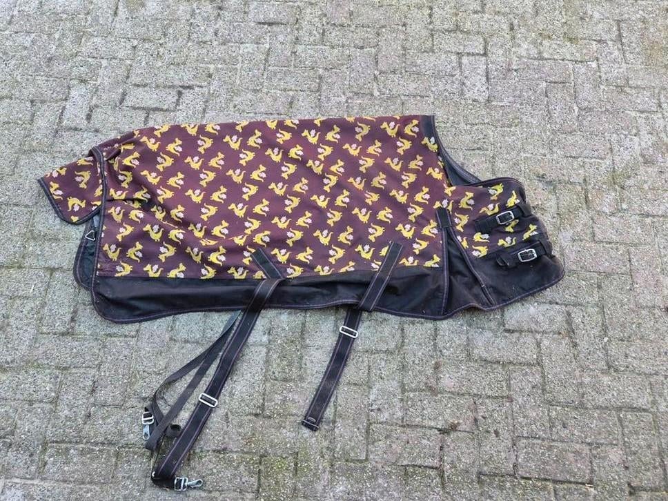 Regendeken pony 105/155cm, Dieren en Toebehoren, Ophalen, Zo goed als nieuw, Deken