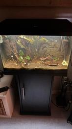 Juwel aquarium compleet | CO₂ | vissen | planten | topstaat, Dieren en Toebehoren, Vissen | Aquaria en Toebehoren, Ophalen of Verzenden