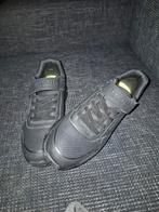 Skechers nieuw maat 37, Ophalen of Verzenden, Nieuw