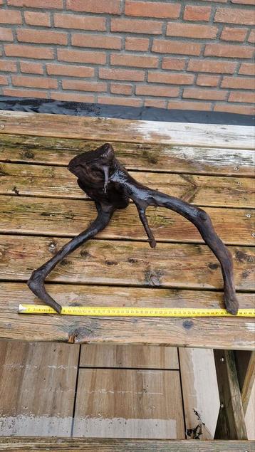 Verschillende stukken hout - aquarium beschikbaar voor biedingen