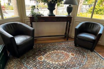 Twee comfortabele kuipstoelen  beschikbaar voor biedingen