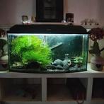 Aquariu, Dieren en Toebehoren, Vissen | Aquaria en Toebehoren, Ophalen of Verzenden, Zo goed als nieuw