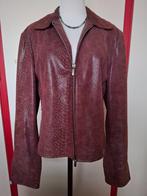 Arma bordeaux rood leren jasje, Kleding | Dames, Maat 38/40 (M), Arma, Ophalen of Verzenden, Zo goed als nieuw