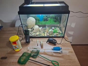 Aquarium en Toebehoren  beschikbaar voor biedingen