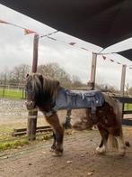Equilibrium massage pad te huur, Dieren en Toebehoren, Paarden en Pony's | Overige Paardenspullen, Ophalen of Verzenden