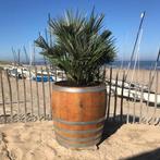 Halve wijnvaten, compleet voorzien van planten geplaatst, Niet ingevuld, Niet ingevuld, Nieuw, Ophalen of Verzenden