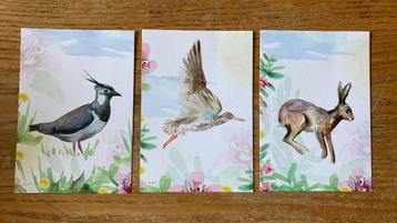 Ansichtkaarten set Dujardin - Skrok en skrins (nieuw) beschikbaar voor biedingen